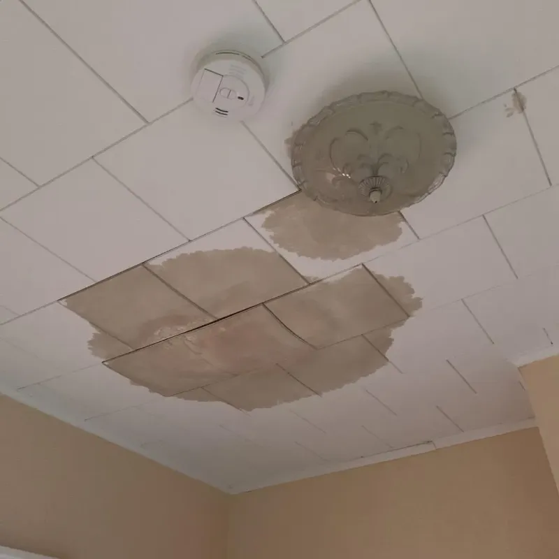 Ceiling Water Damage Repair in Iota, LA
